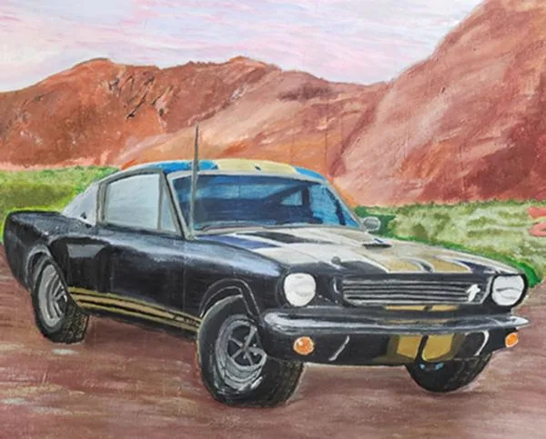 Shelby art